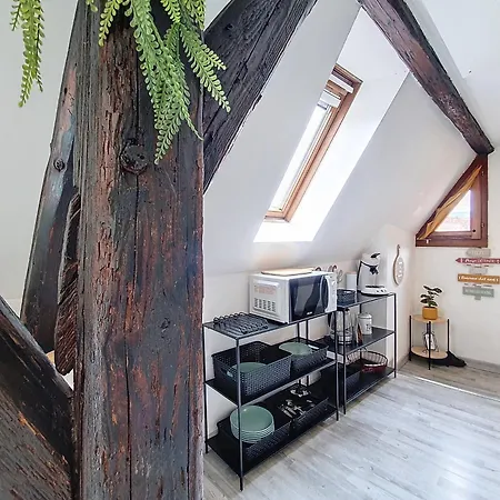 Apartament Le Marcaron - Hypercentre - Confort - Lumineux Obernai